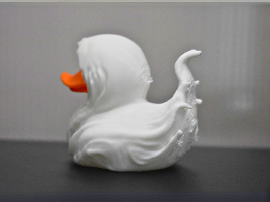 3D Printed Duck