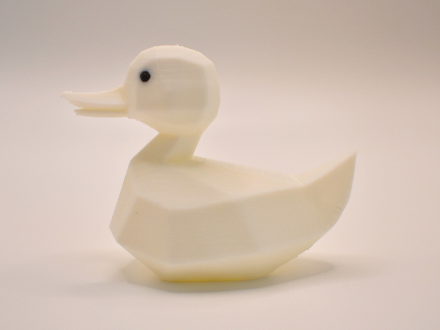 3D Printed Duck