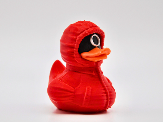 3D Printed Duck