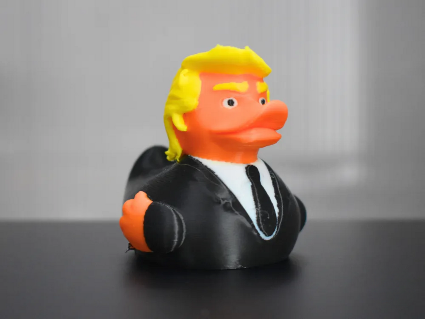 3D Printed Duck