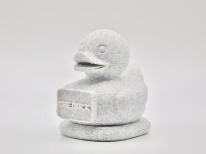 3D Printed Duck