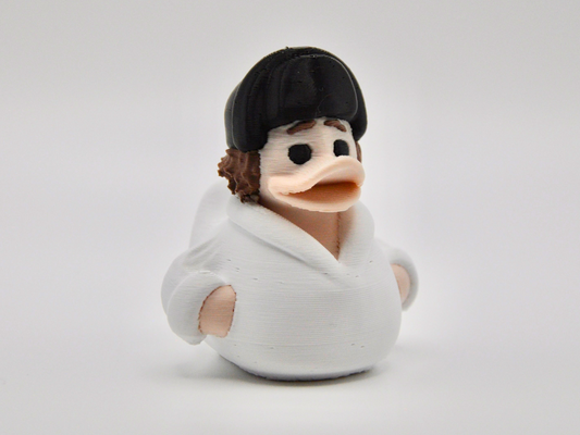 3D Printed Duck
