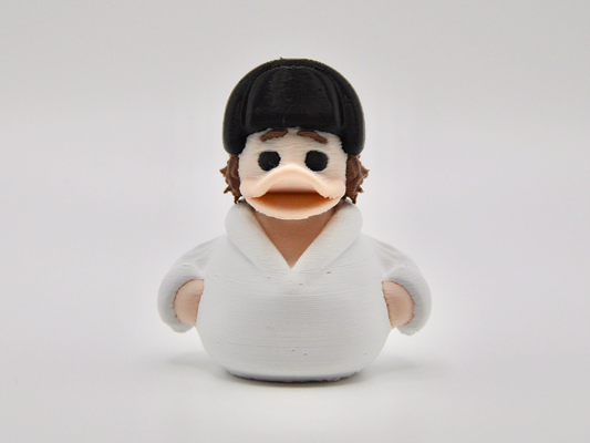 3D Printed Duck