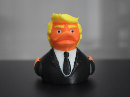 3D Printed Duck