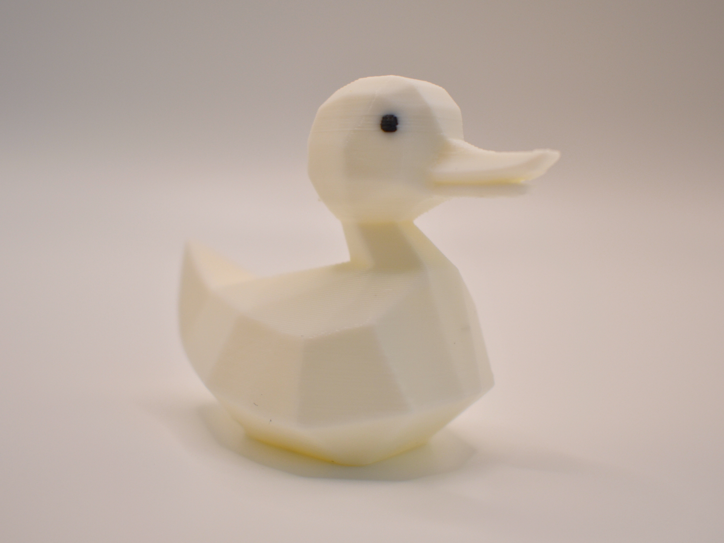 3D Printed Duck