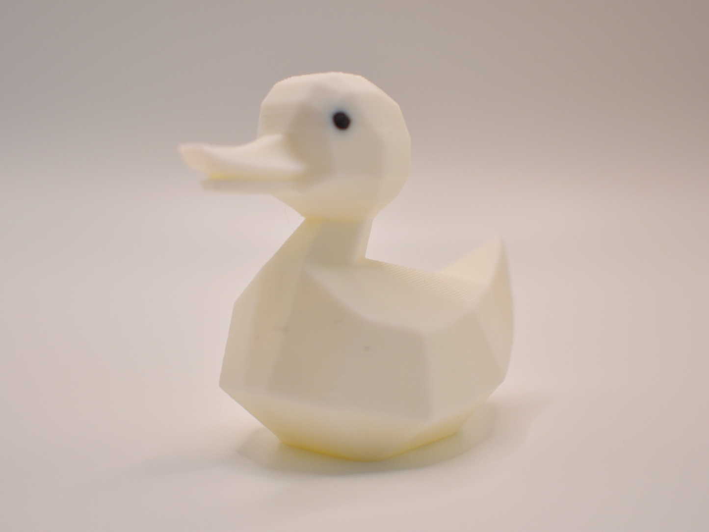 3D Printed Duck