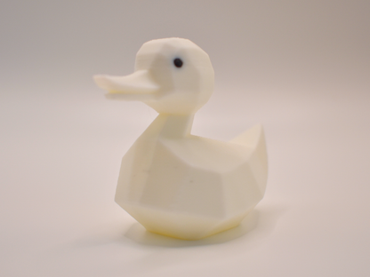 3D Printed Duck