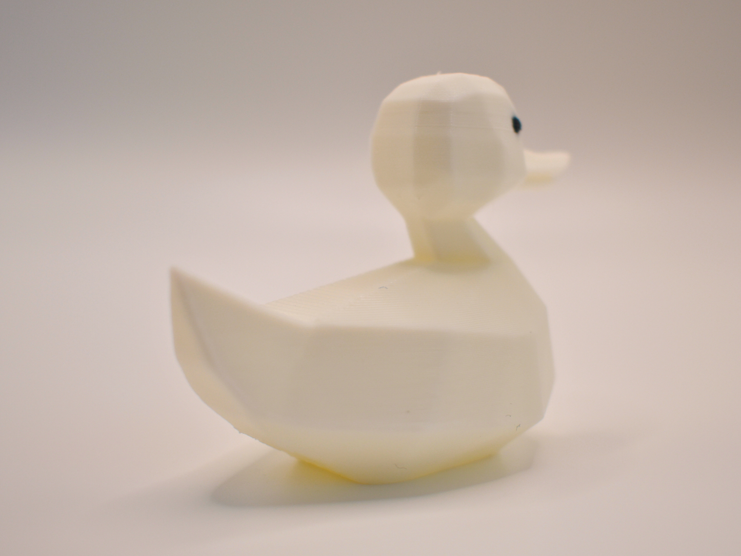 3D Printed Duck