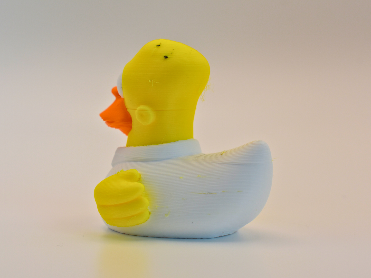 3D Printed Duck