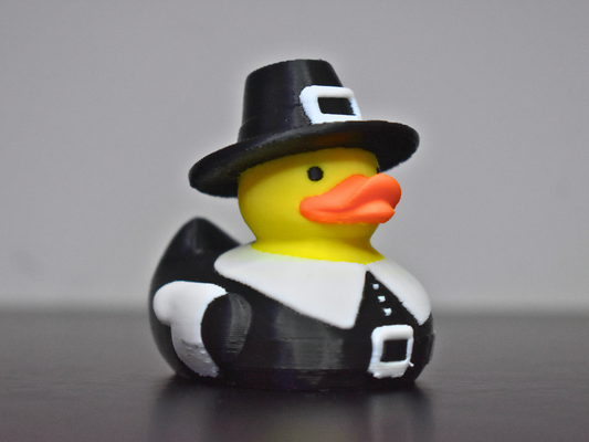 3D Printed Duck